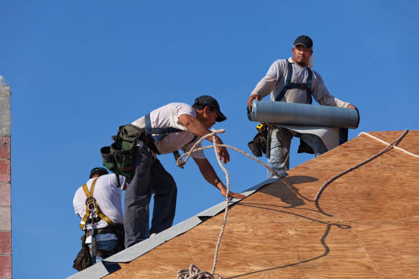 Best Metal Roofing Contractor  in Springfield, OH